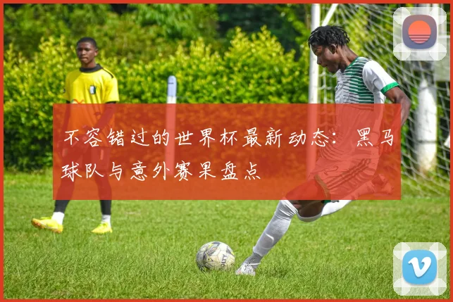 不容错过的世界杯最新动态:黑马球队与意外赛果盘点