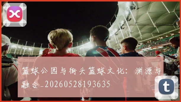 篮球公园与街头篮球文化:渊源与融合_20260528193635
